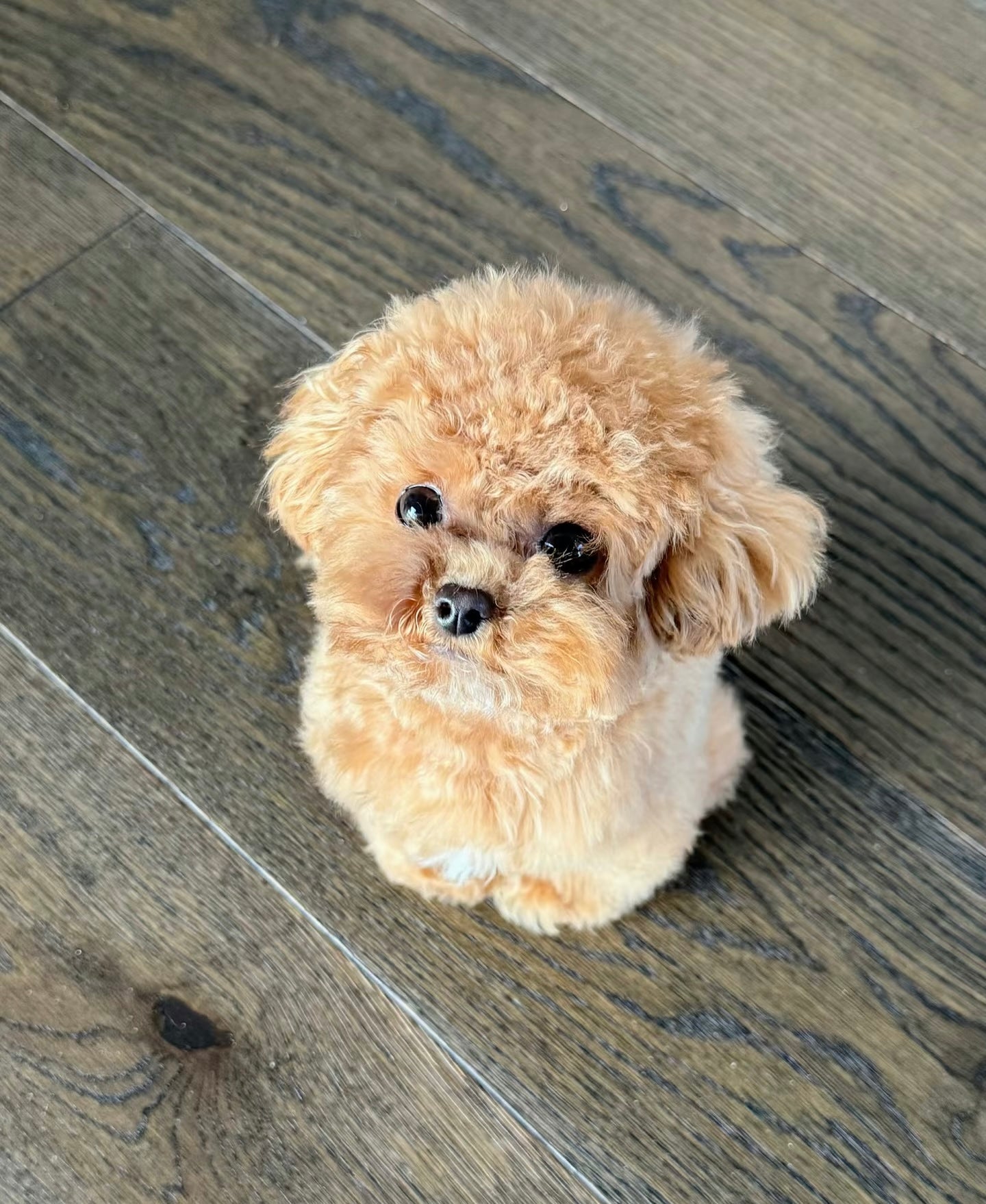 Full Body Figurine